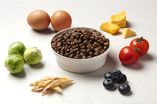 포토 JPG 스튜디오촬영 토마토 재료 호박 실내 사람없음 계란 먹이 흰배경 유기농 블루베리 개사료 방울양배추 황태 펫푸드 국내포토 웰빙 백그라운드 채소 과일 어류 내부 알 흰색 양배추 애견용품 파일형식