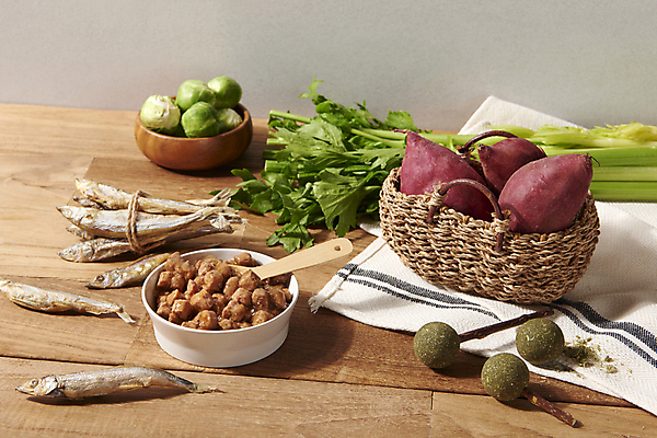 포토 JPG 스튜디오촬영 재료 회색배경 실내 사람없음 바구니 먹이 유기농 고구마 샐러리 나무탁자 방울양배추 빙어 펫푸드 캣닢 캣닢사탕 고양이먹이 국내포토 웰빙 백그라운드 채소 탁자 뿌리채소 내부 회색 민물고기 양배추 애견용품 파일형식 애묘간식