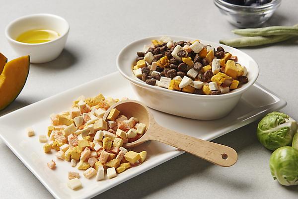 포토 JPG 스튜디오촬영 그릇 채소 재료 건조 실내 사람없음 먹이 흰배경 유기농 나무숟가락 애완용사료 펫푸드 국내포토 식기 웰빙 백그라운드 내부 숟가락 흰색 애견용품 파일형식