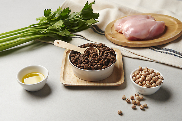 포토 JPG 스튜디오촬영 재료 실내 생고기 사람없음 올리브오일 먹이 유기농 샐러리 개사료 닭가슴살 병아리콩 애완용사료 펫푸드 국내포토 웰빙 채소 콩 육류 내부 닭고기 기름_음식 애견용품 파일형식