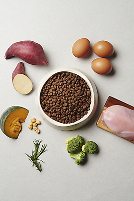 포토 JPG 스튜디오촬영 재료 회색배경 실내 생고기 사람없음 하이앵글 계란 브로콜리 먹이 유기농 고구마 로즈메리 단호박 개사료 닭가슴살 병아리콩 애완용사료 펫푸드 국내포토 웰빙 뷰포인트 백그라운드 채소 호박 콩 뿌리채소 육류 내부 알 닭고기 회색 허브 애견용품 파일형식