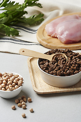 포토 JPG 스튜디오촬영 재료 회색배경 실내 생고기 사람없음 먹이 유기농 나무숟가락 개사료 나무쟁반 닭가슴살 병아리콩 펫푸드 국내포토 웰빙 백그라운드 콩 쟁반 육류 내부 목재 숟가락 닭고기 회색 애견용품 파일형식