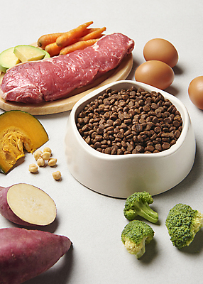 포토 JPG 스튜디오촬영 재료 실내 생고기 사람없음 계란 브로콜리 먹이 흰배경 유기농 고구마 단호박 개밥그릇 개사료 닭가슴살 병아리콩 애완용사료 펫푸드 국내포토 그릇 웰빙 백그라운드 채소 호박 콩 뿌리채소 육류 내부 알 닭고기 흰색 애견용품 파일형식