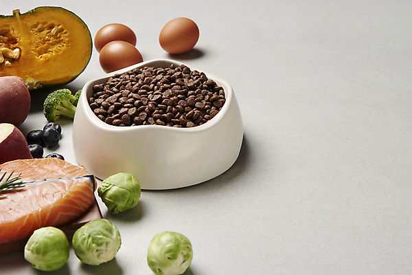 포토 JPG 스튜디오촬영 재료 회색배경 실내 사람없음 계란 브로콜리 먹이 유기농 연어 단호박 개밥그릇 개사료 방울양배추 애완용사료 카피스페이스 펫푸드 국내포토 그릇 웰빙 백그라운드 채소 호박 어류 내부 알 공백 회색 양배추 애견용품 파일형식