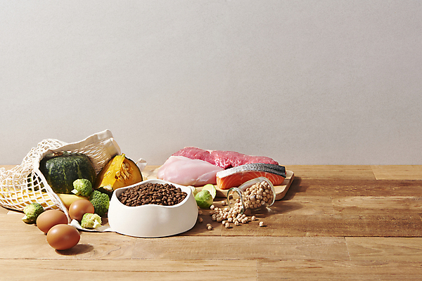 포토 JPG 스튜디오촬영 식재료 재료 회색배경 실내 생고기 사람없음 계란 먹이 유기농 나무바닥 단호박 개밥그릇 개사료 병아리콩 애완용사료 펫푸드 네트백 국내포토 그릇 웰빙 백그라운드 가방 호박 콩 바닥 육류 내부 알 회색 애견용품 파일형식