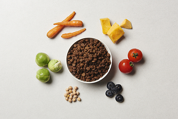 포토 JPG 스튜디오촬영 토마토 재료 회색배경 호박 실내 사람없음 하이앵글 당근 먹이 유기농 블루베리 개사료 방울양배추 병아리콩 애완용사료 펫푸드 국내포토 웰빙 뷰포인트 백그라운드 채소 과일 콩 뿌리채소 내부 회색 양배추 애견용품 파일형식