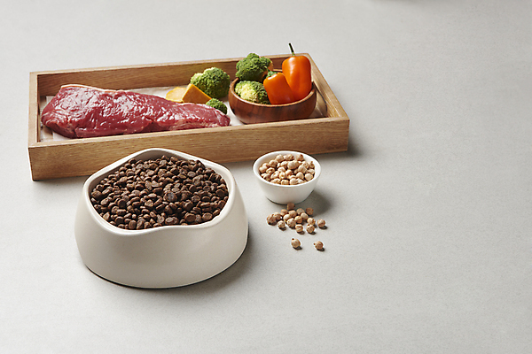 포토 JPG 스튜디오촬영 재료 회색배경 파프리카 실내 생고기 사람없음 소고기 브로콜리 먹이 유기농 개밥그릇 개사료 병아리콩 애완용사료 펫푸드 국내포토 그릇 웰빙 백그라운드 채소 콩 육류 내부 회색 애견용품 파일형식