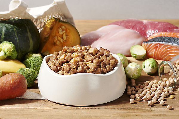 포토 JPG 스튜디오촬영 재료 실내 생고기 사람없음 먹이 유기농 나무바닥 단호박 개밥그릇 개사료 방울양배추 병아리콩 애완용사료 펫푸드 국내포토 그릇 웰빙 호박 콩 바닥 육류 내부 양배추 애견용품 파일형식