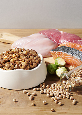 포토 JPG 스튜디오촬영 재료 실내 생고기 사람없음 소고기 먹이 유기농 나무바닥 연어 개밥그릇 개사료 닭가슴살 방울양배추 병아리콩 애완용사료 펫푸드 국내포토 그릇 웰빙 콩 바닥 육류 어류 내부 닭고기 양배추 애견용품 파일형식