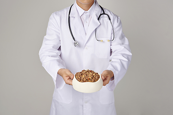 포토 JPG 스튜디오촬영 남자 회색배경 실내 한명 들기 상반신 성인 앞모습 먹이 유기농 보여주기 수의사 개밥그릇 개사료 애완용사료 성인남자한명만 펫푸드 국내포토 1 그릇 웰빙 뷰포인트 백그라운드 모션 사람 내부 회색 의사 애견용품 남자한명만 성인남자만 파일형식