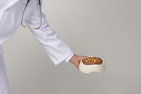 포토 JPG 스튜디오촬영 남자 회색배경 실내 한명 들기 상반신 성인 옆모습 먹이 유기농 수의사 개밥그릇 개사료 애완용사료 성인남자한명만 펫푸드 놓기 국내포토 1 그릇 웰빙 뷰포인트 백그라운드 모션 사람 내부 회색 의사 애견용품 남자한명만 성인남자만 파일형식