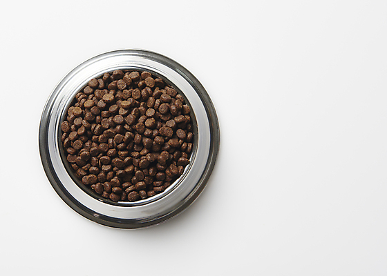 포토 JPG 스튜디오촬영 실내 사람없음 하이앵글 먹이 흰배경 유기농 담기 개밥그릇 개사료 애완용사료 펫푸드 국내포토 그릇 웰빙 뷰포인트 백그라운드 모션 내부 흰색 애견용품 파일형식