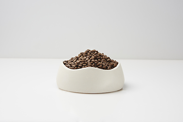 포토 JPG 스튜디오촬영 실내 사람없음 먹이 흰배경 유기농 담기 개밥그릇 개사료 애완용사료 펫푸드 국내포토 그릇 웰빙 백그라운드 모션 내부 흰색 애견용품 파일형식