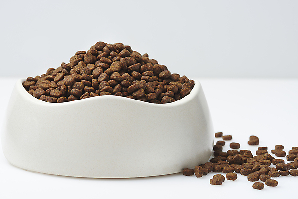 포토 JPG 스튜디오촬영 실내 근접촬영 사람없음 먹이 흰배경 유기농 담기 개밥그릇 개사료 애완용사료 펫푸드 국내포토 그릇 웰빙 뷰포인트 백그라운드 모션 내부 흰색 애견용품 파일형식