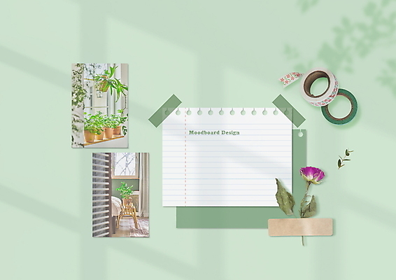 PSD 편집이미지 꽃 화분 종이 그림자 사람없음 연두색 분위기 테이프 감성 드라이플라워 마스킹테이프 플랜테리어 무드보드 이미지편집 식물 디자인 컨셉 문구용품 초록색 인테리어 파일형식