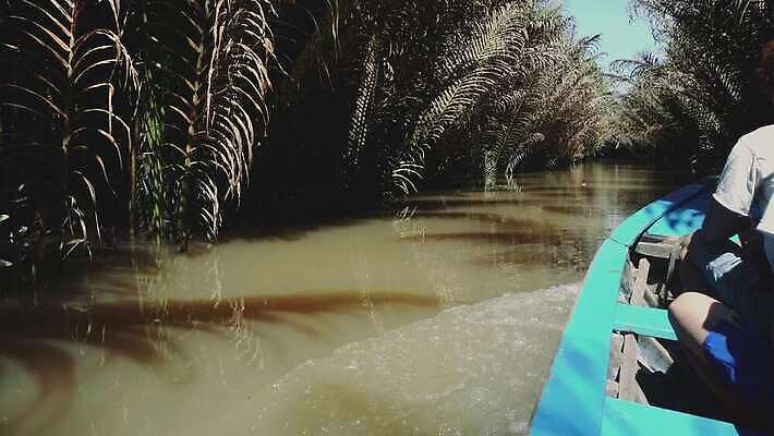 식물 전통 아시아 여행 밭 동양인 사람없음 초록색 강 시골 도시 보트 시장 숲 생태계 문서 베트남 남쪽 메콩강 4K MOV 해외동영상 클립영상 나라 컬러 농업 배_교통 인종 동남아시아 방향 동영상 파일형식