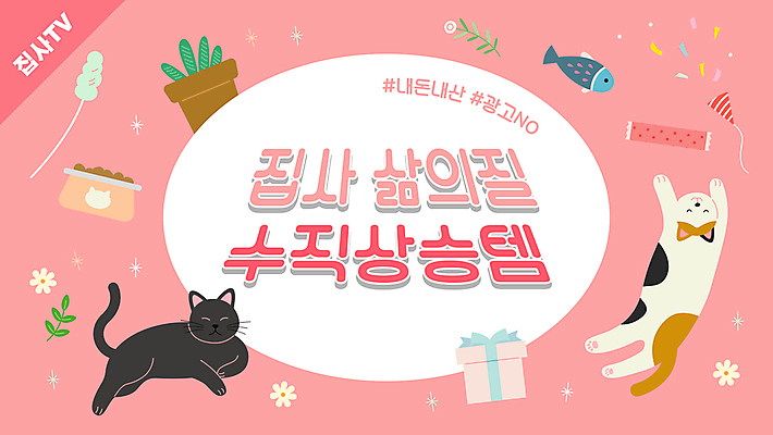 그릇 화분 분홍색 두마리 일러스트 폭죽 사람없음 선물상자 고양이 추천 반려묘 냥집사 애묘용품 고양이낚시대 유튜브 집사 썸네일 고양이먹이 국내일러스트 반려용품 AI파일 식기 컬러 2 포유류 선물 반려동물 상자 먹이 오브젝트 하인 합성어 파일형식 벡터