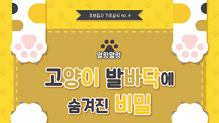 일러스트 프레임 사람없음 반려동물 노란색 고양이 비밀 발바닥 젤리 소셜네트워크 반려묘 냥집사 유튜브 국내일러스트 AI파일 동물 컬러 컨셉 포유류 발 디저트 합성어 파일형식 벡터