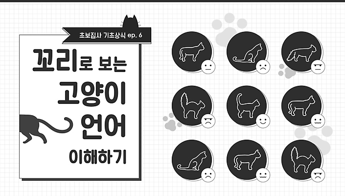 감정 포즈 일러스트 프레임 표정 사람없음 반려동물 검은색 고양이 흰색 발자국 꼬리 이모티콘 소셜네트워크 반려묘 유튜브 카밍시그널 국내일러스트 AI파일 동물 컬러 포유류 자국 의사소통 파일형식 벡터