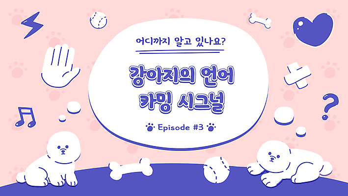 반려견 분홍색 말풍선 두마리 음표 일러스트 프레임 사람없음 반려동물 보라색 물음표 하트 반창고 강아지 야구공 손모양 개뼈다귀 번개모양 소셜네트워크 비숑프리제 유튜브 카밍시그널 국내일러스트 AI파일 모양 동물 기호 음악 컬러 2 공 야구용품 의료용품 개 번개 애견간식 의사소통 파일형식 벡터 손_신체부위