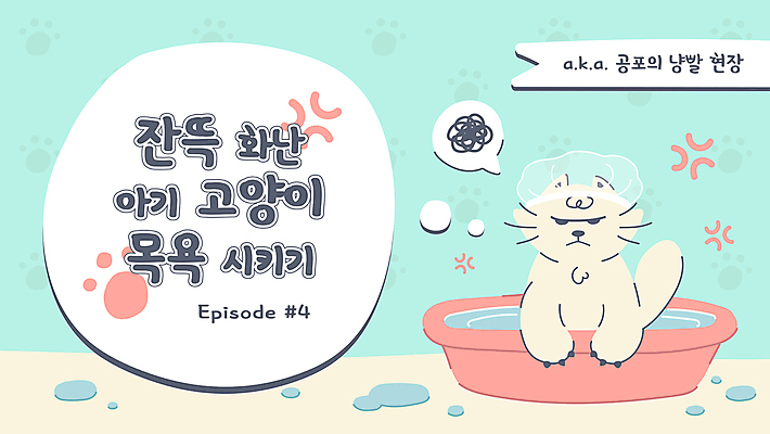 하늘색 말풍선 일러스트 프레임 사람없음 물 반려동물 고양이 목욕 분노 짜증 발바닥 대야 샤워캡 소셜네트워크 반려묘 유튜브 국내일러스트 AI파일 자연요소 동물 감정 포유류 발 파란색 청결 파일형식 벡터