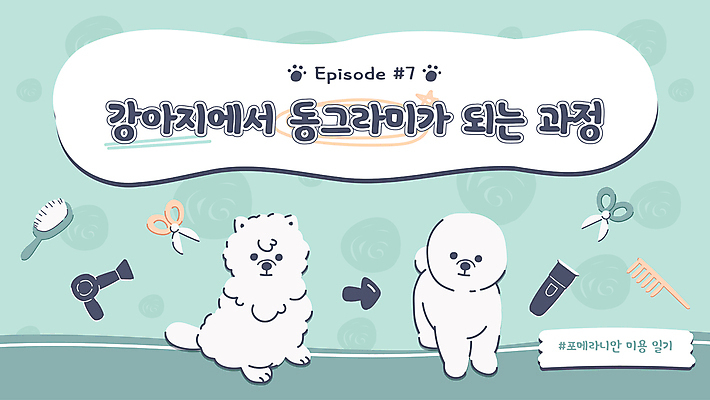 화살표 반려견 하늘색 두마리 일러스트 프레임 사람없음 반려동물 변화 드라이어 발바닥 과정 미용가위 바리깡 소셜네트워크 애견미용 애견빗 유튜브 국내일러스트 AI파일 동물 컨셉 2 발 가위_도구 파란색 뷰티 미용용품 개 애견용품 파일형식 벡터