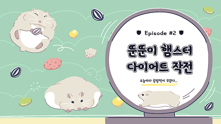 다이어트 일러스트 프레임 세마리 사람없음 반려동물 먹이 비만 햄스터 민트색 소셜네트워크 옥수수알갱이 쳇바퀴 해바라기씨 호박씨 유튜브 국내일러스트 AI파일 동물 컬러 건강 3 옥수수 씨앗 설치류 몸매 파일형식 벡터