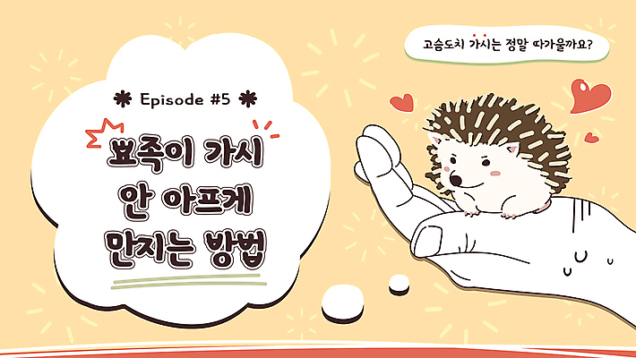 한마리 손 말풍선 일러스트 프레임 들기 신체부위 노란색 하트 가시 땀 고슴도치 소셜네트워크 땀흘리기 유튜브 국내일러스트 AI파일 모양 1 컬러 컨셉 포유류 모션 사람 파일형식 벡터