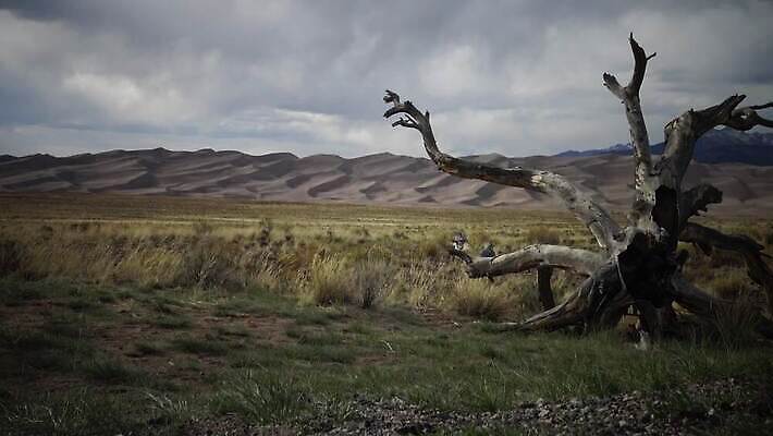 공원 모래 여행 백그라운드 패턴 밭 자연 하늘 휴가 산 풍경 사람없음 야외 여행객 미국 일몰 사막 큼 모래언덕 언덕 천연기념물 내추럴 전국 콜로라도 4K MP4 해외동영상 클립영상 공공시설 북아메리카 무늬 농업 사람 노을 크기 생태계 동영상 파일형식