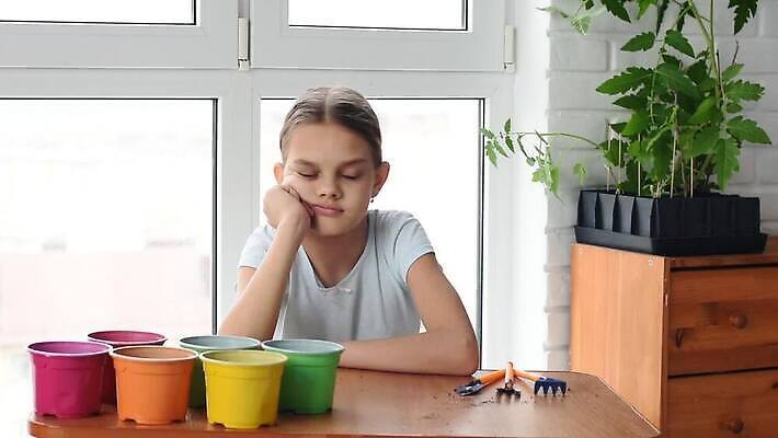 식물 백인 직업 손 꽃 어린이 분홍색 꽃무늬 자연 탁자 주택 씨앗 취미 장식 10대 금발 봄 냄비 스마트 원예 관심 묘목 심기 원예사 파종 핸드메이드 MP4 해외동영상 클립영상 서양인 나무 헤어스타일 계절 컬러 가구 컨셉 무늬 모션 청소년 사람 건물 신체부위 농사 솥 생태계 동영상 파일형식