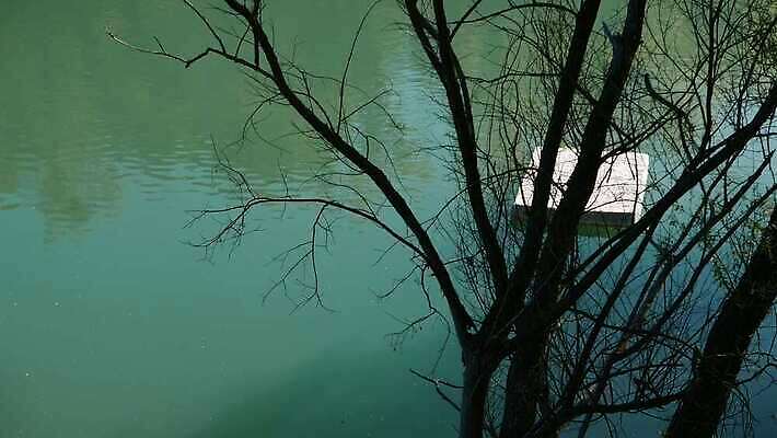 나무 이동 사람없음 초록색 물 강 흰색 잠 오염 던지기 쓰레기 폐기물 버리기 한조각 낭비 매트리스 벌거벗은 부주의 4K MOV 해외동영상 클립영상 자연요소 식물 1 컬러 컨셉 모션 동영상 파일형식