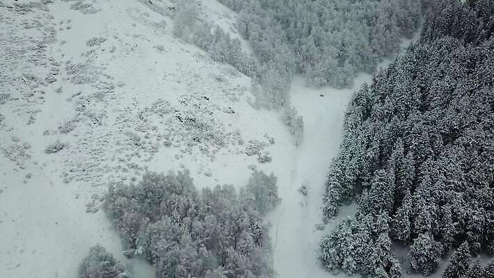 나무 도로 여행 백그라운드 크리스마스 겨울 자국 자연 날씨 새해 산 안테나 풍경 사람없음 야외 냉동 추위 안개 가을 흰색 나뭇가지 소나무 정상 숲 언덕 서리 전나무 흐림 눈보라 항공촬영 드론 제설기 카자흐스탄 눈내림 가문비나무 4K 알마티 MP4 해외동영상 클립영상 식물 계절 기념일 아시아 길 뷰포인트 컬러 통신 교통시설 눈_날씨 생태계 동영상 제설 파일형식