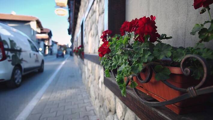 식물 전통 외관 꽃 유럽 문화 도로 길 벽 여행 창문 거리 주택 사람없음 건물 빨간색 컬러풀 문 마을 정원 타운 불가리아 심기 옛날 제라늄 4K 반스코 MP4 해외동영상 클립영상 건축물 나라 컬러 교통시설 모션 도시 동영상 파일형식 남유럽