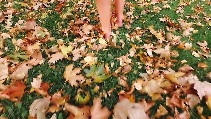 백인 1 공원 여자 포즈 잎 장난 맨발 자연 바닥 건강 사람 초원 초록색 빛 뷰티 노란색 걷기 환경 정원 활발 기쁨 자유 가을 신선 숲 누드 땅 피부 단계 내추럴 땅바닥 벌거벗은 양발 4K MP4 해외동영상 클립영상 서양인 식물 계절 공공시설 감정 컬러 컨셉 모션 발 신체부위 생태계 동영상 파일형식