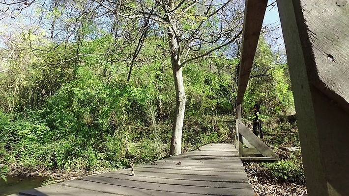 모자 라이프스타일 여자 길 스포츠 여행 포즈 운동화 신발 배낭 자국 자연 산 부츠 건강 한명 사람 풍경 야외 물 여름 여행객 봄 산책 트래킹 폭포 캠핑 하이킹 막대기 숲 통나무 요세미티국립공원 하이커 4K MP4 해외동영상 클립영상 자연요소 나무 1 잡화 계절 가방 레저 휴식 국립공원 생활 생태계 캘리포니아 동영상 파일형식