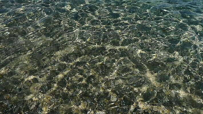 호수 물결 파도 바다 하늘색 백그라운드 패턴 자연 벽지 표면 추상 휴가 휴식 사람없음 물 여름 파란색 빛 햇빛 뷰티 반사 젖음 투명 액체 정상 시원함 당구 순수 묘사 질감 강렬 터키석 MOV 해외동영상 슬로모션 클립영상 자연요소 계절 컬러 컨셉 무늬 촬영기법 태양 구기 보석 생태계 동영상 파일형식