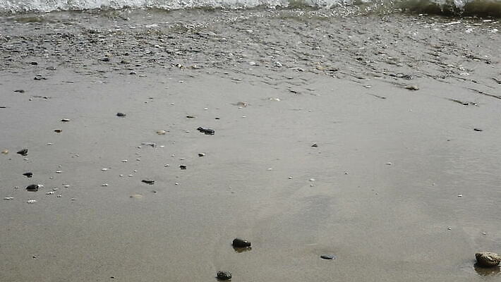 계절 모래 파도 바다 여행 백그라운드 자연 휴가 풍경 사람없음 야외 물 여름 파란색 모래사장 햇빛 노란색 우주 맑음 거품 흰색 서핑 작음 묘사 질감 암초 내추럴 그런지 MOV 해외동영상 슬로모션 클립영상 자연요소 컬러 날씨 촬영기법 태양 수상스포츠 크기 생태계 동영상 파일형식