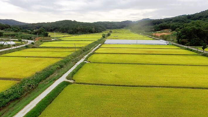 나무 식물 아시아 음식 여행 농업 자연 산 한국 안테나 동양인 사람없음 야외 초록색 농장 계곡 시골 황금 흐림 내추럴 항공촬영 논밭 드론 밭일 온실 조감도 4K MOV 해외동영상 클립영상 나라 산업 뷰포인트 컬러 밭 통신 날씨 논 인종 생태계 동영상 파일형식