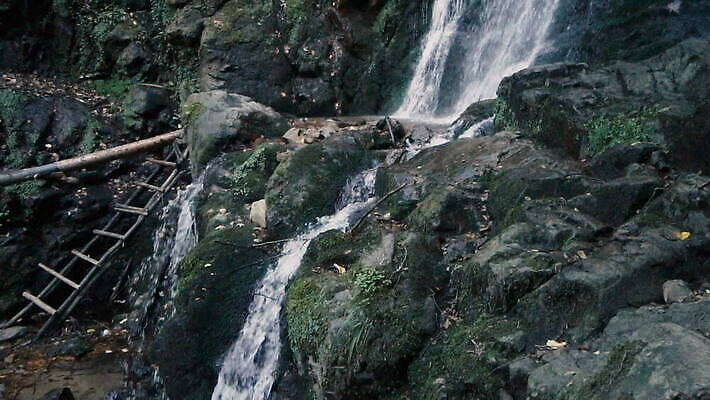 나무 식물 구름 공원 호수 여행 백그라운드 자연 하늘 휴가 산 풍경 사람없음 야외 초록색 물 여름 파란색 강 평화 환경 계곡 미국 봄 폭포 젖음 흐름 가을 바위 신선 개울 떨어짐 숲 크로아티아 내추럴 요세미티국립공원 전국 MOV 해외동영상 클립영상 자연요소 계절 공공시설 유럽 컬러 컨셉 북아메리카 국립공원 생태계 캘리포니아 동영상 파일형식