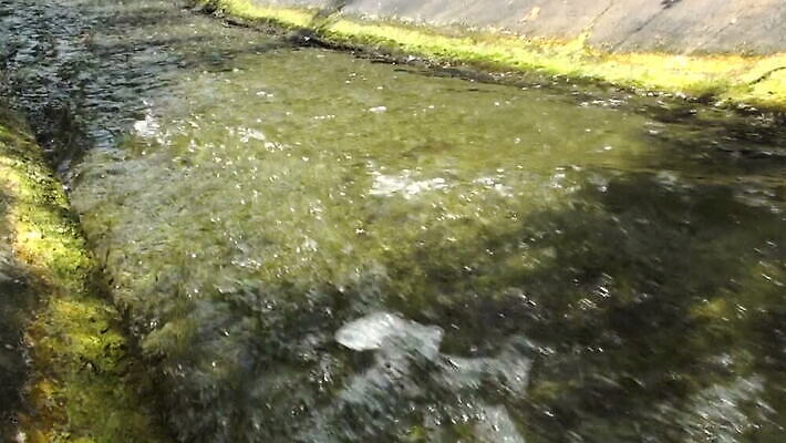 호수 파도 바다 여행 백그라운드 자연 사람없음 야외 물 빛 강 햇빛 태양 반사 환경 골짜기 젖음 흐름 연못 개울 떨어짐 서리 분무기 민물 생태학 콘크리트 MOV 해외동영상 클립영상 자연요소 교육 컨셉 생태계 동영상 파일형식