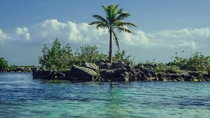 모래 파도 바다 섬 여행 우산 자연 휴가 휴식 멕시코 손바닥 해변 사람없음 관광지 야자수 태양 평화 일몰 뜨거움 충돌 묘사 휴양지 암초 마야 이국적 칸쿤 파라다이스 화창 MP4 해외동영상 클립영상 자연요소 나무 손 컨셉 북아메리카 날씨 노을 장소 생태계 마야문명 동영상 파일형식