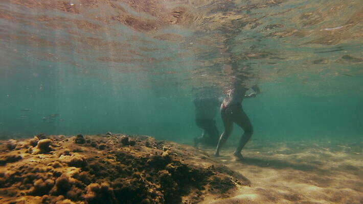 동물 야생동물 바다 컬러 여행 백그라운드 자연 멕시코 어류 사람없음 빨간색 물 여름 파란색 빛 햇빛 태양 뷰티 수중 수영 광선 동굴 산호 아래 사진사 생태계 다이빙 장면 암초 깊이 칸쿤 4K 수중영상 MOV 해외동영상 클립영상 자연요소 계절 북아메리카 수중동물 수상스포츠 자포동물 방향 작가 위치 동영상 수중스포츠 파일형식