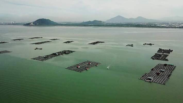 구름 아시아 문화 바다 포즈 자연 낚시 어류 어업 동양인 풍경 사람없음 물 파란색 농장 환경 화물 잡기 만 그물 어선 보트 어부 상업 장면 낚시꾼 새장 어장 내추럴 밭일 수경재배 4K MOV 해외동영상 클립영상 자연요소 직업 나라 산업 컬러 농업 배_교통 모션 레저 인종 수중동물 운송업 생태계 동영상 케이지 파일형식