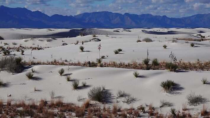 공원 모래 파도 조각 여행 곡선 자연 하늘 건조 사람없음 파란색 모래사장 미국 사막 흰색 황무지 모래언덕 언덕 질감 가뭄 기념물 천연기념물 내추럴 뉴멕시코 잔물결 전국 지질학 4K MP4 해외동영상 클립영상 공공시설 교육 물결 선 바다 컬러 북아메리카 날씨 생태계 동영상 파일형식