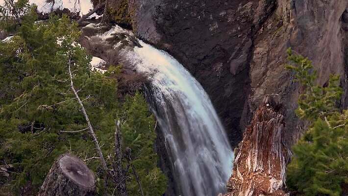 나무 자연 산 사람없음 야외 물 강 골짜기 폭포 흐름 신선 개울 숲 삼림지대 워싱턴 전국 지질학 로키산맥 4K MP4 해외동영상 클립영상 자연요소 식물 교육 컨셉 미국 생태계 동영상 파일형식