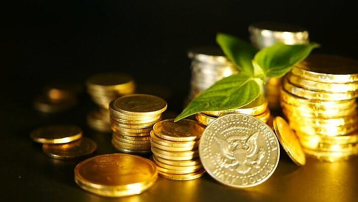 식물 백그라운드 컨셉 잎 돈 비즈니스 그래프 사람없음 초록색 금융 경제 금속 동전 검은색 거래 저축 성장 기둥 변화 시장 재산 황금 주식 상패 카지노 투자 보물 월급 빚 개발 고립 구성 센트 수입 많음 MOV 해외동영상 클립영상 건축 컬러 재질 도박 상_우승 동영상 파일형식