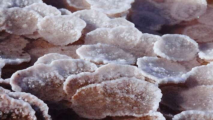 호수 바다 백그라운드 자연 풍경 사람없음 야외 물 바위 흰색 약초 크리스탈 휴양지 진흙 결정체 지구온난화 내추럴 우크라이나 짠맛 오데사 4K MP4 해외동영상 클립영상 자연요소 유럽 컬러 장소 돌_바위 풀_식물 맛 광석 생태계 동영상 기후변화 파일형식