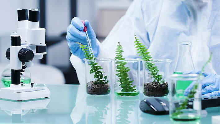 식물 직업 1 교육 산업 과학 잎 자연 노동자 현미경 실험 작업복 가면 사람 사람없음 초록색 장비 시험 성장 흰색 작업 실험실 보호 생명공학 연구원 과학자 확인 대학교 생물학 공학 내추럴 묘목 유전 유전자변형 4K MOV 해외동영상 클립영상 나무 옷 컬러 컨셉 의학 학교 실험기구 생태계 동영상 학자 파일형식