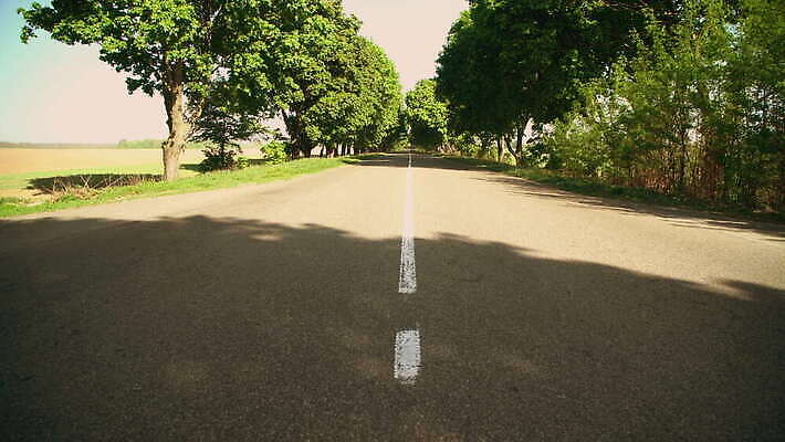 주간 나무 도로 자연 풍경 사람없음 햇빛 4K MOV 해외동영상 클립영상 자연요소 식물 길 교통시설 태양 생태계 동영상 파일형식