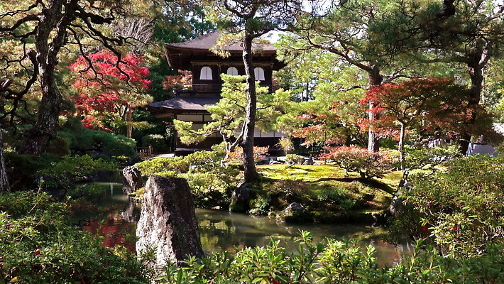 나무 계절 공원 아시아 문화 호수 선 여행 단풍 잎 건축양식 주택 풍경 사람없음 건물 빨간색 초록색 물 컬러풀 반사 정원 일본 가을 연못 소나무 사찰 역사 교토 랜드마크 사당 4K MOV 해외동영상 클립영상 자연요소 식물 건축물 공공시설 건축 나라 컬러 종교건축 동영상 파일형식
